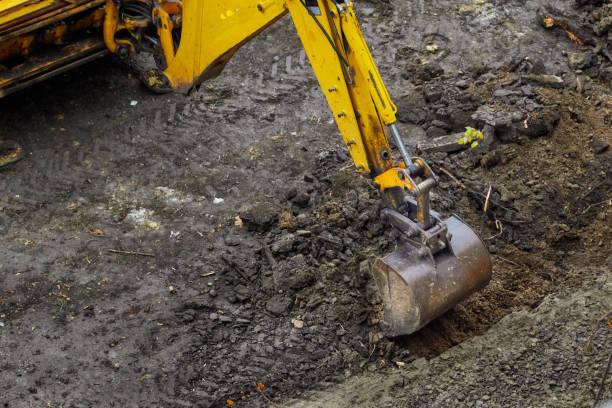 Earthworks Cost Northland