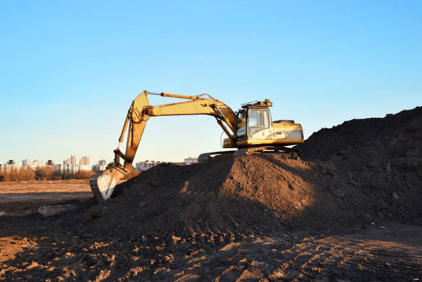 Excavator Hire Northland
